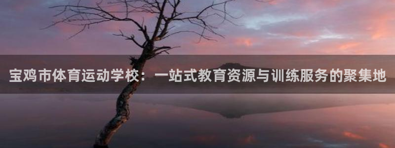 欧亿体育官方正版app集团logo:宝鸡市体育运动学校:一站