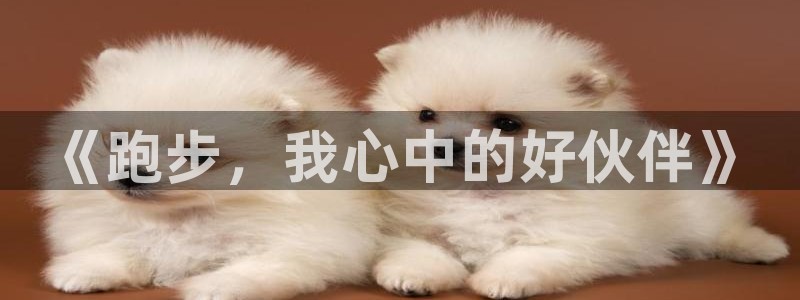 oety欧亿体育官网下载平台APP:《跑步,我心中的好伙伴》