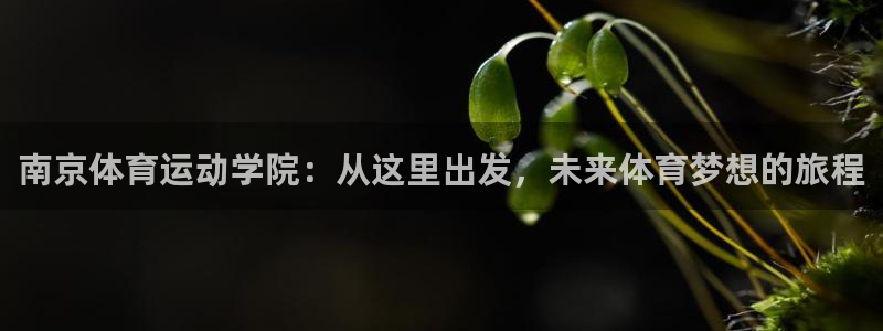 海南oety欧亿体育官网下载发展怎么样:南京体育运动学院:从