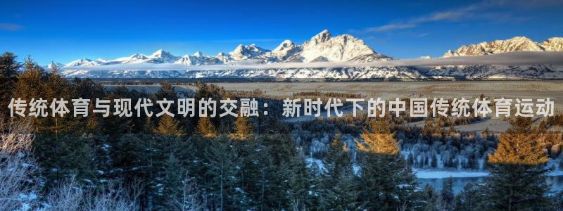 oety欧亿体育官网下载平台是正规平台吗知乎:传统体育与现代